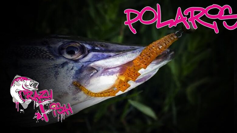Crazy Fish Polaris 1.2" 0,1 g
