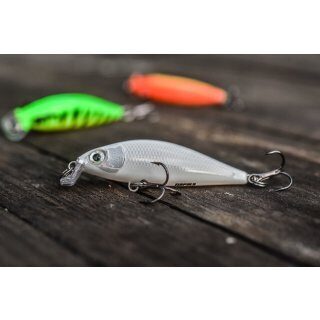 Rapala X-Light Minnow 05