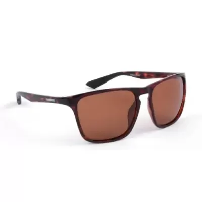 Shimano Eyewear Ultegra Tortoiseshell & Copper
