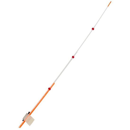 Sargelis lavsaninis Salmo Whitefish 1