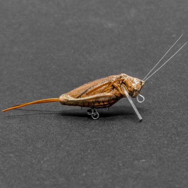 IMAGO "Žiogas" 3,5 cm DBC