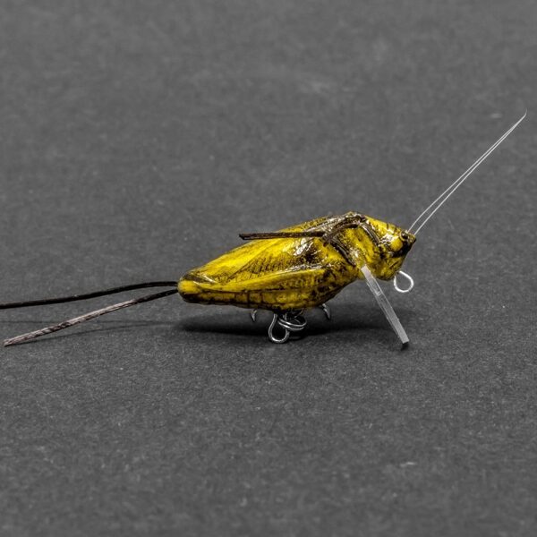 IMAGO "Grasshopper" 3,5 YB