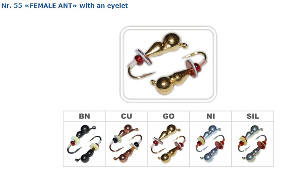 FEMALE ANT with loop no. 55