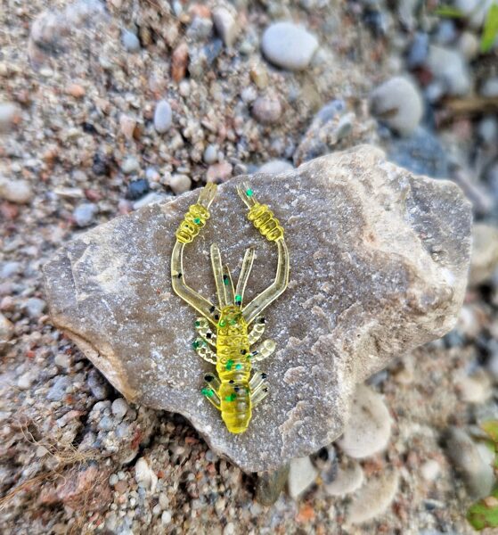 "RR Shrimp" 1.2" (30mm) 12vnt. Caramel