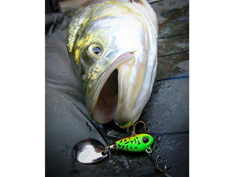 STORM Gomoku Spin 6cm 16g